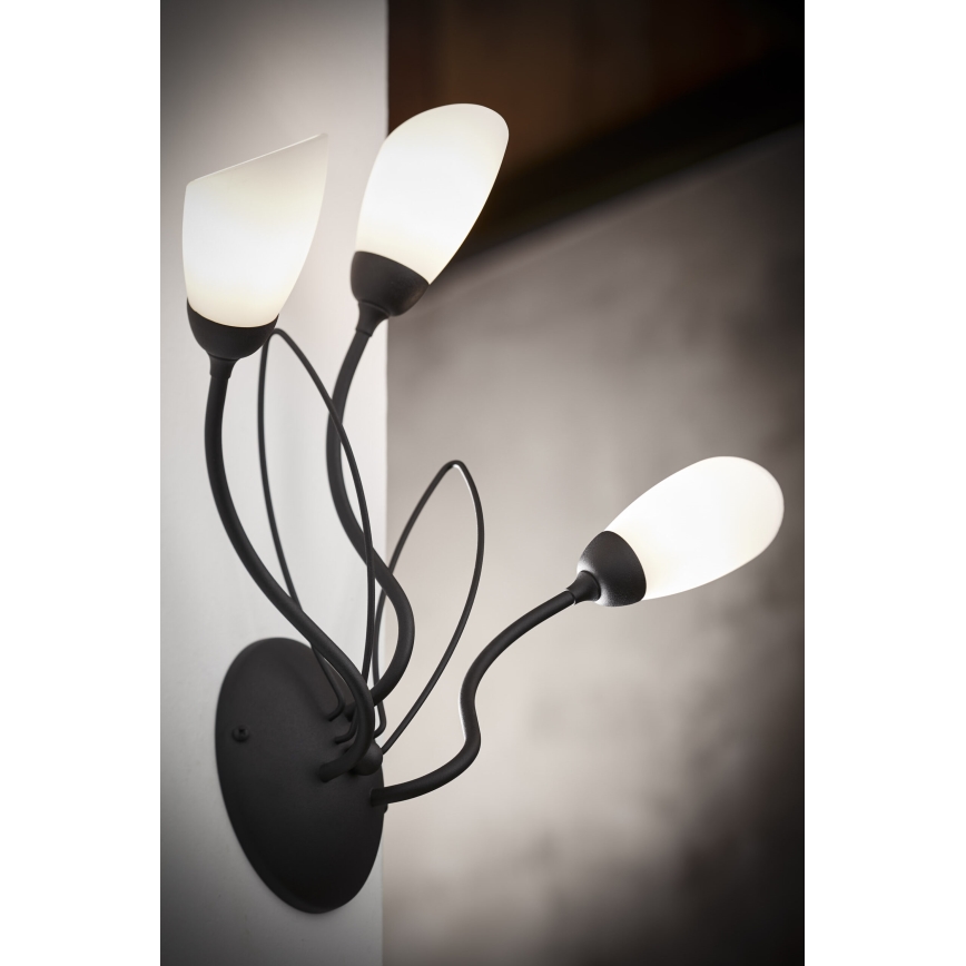 Jupiter 2059 - Επιτοίχιο φωτιστικό GLORIOSA 3xG9/14W/230V μαύρο