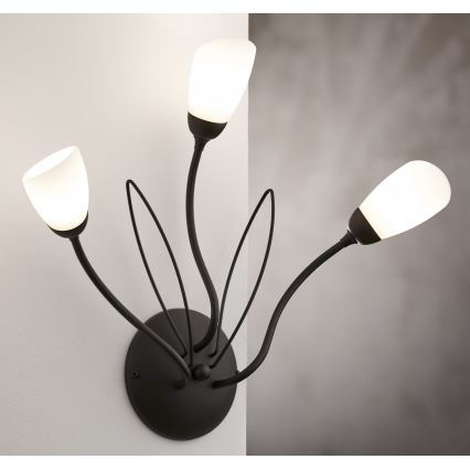 Jupiter 2059 - Επιτοίχιο φωτιστικό GLORIOSA 3xG9/14W/230V μαύρο