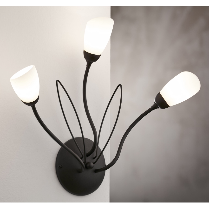 Jupiter 2059 - Επιτοίχιο φωτιστικό GLORIOSA 3xG9/14W/230V μαύρο