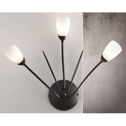 Jupiter 2059 - Επιτοίχιο φωτιστικό GLORIOSA 3xG9/14W/230V μαύρο