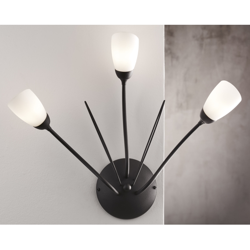 Jupiter 2059 - Επιτοίχιο φωτιστικό GLORIOSA 3xG9/14W/230V μαύρο