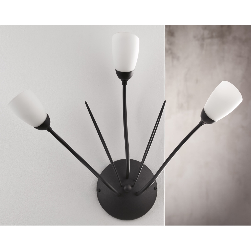 Jupiter 2059 - Επιτοίχιο φωτιστικό GLORIOSA 3xG9/14W/230V μαύρο