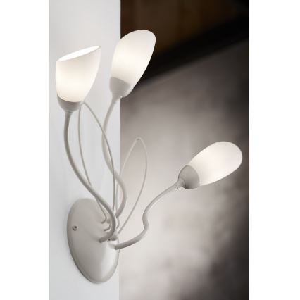 Jupiter 2064 - Επιτοίχιο φωτιστικό GLORIOSA 3xG9/14W/230V σε απόχρωση κρεμ