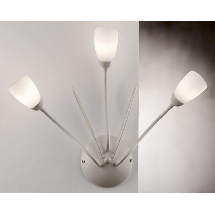 Jupiter 2064 - Επιτοίχιο φωτιστικό GLORIOSA 3xG9/14W/230V σε απόχρωση κρεμ