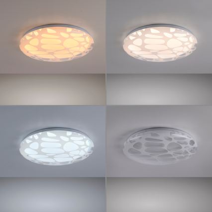 JUST LIGHT. 14009-16 - LED Ρυθμιζόμενο φωτιστικό οροφής ART PLAFO LED/20W/230V 2700-6500K διάμ. 38 cm λευκό + τηλεχειριστήριο