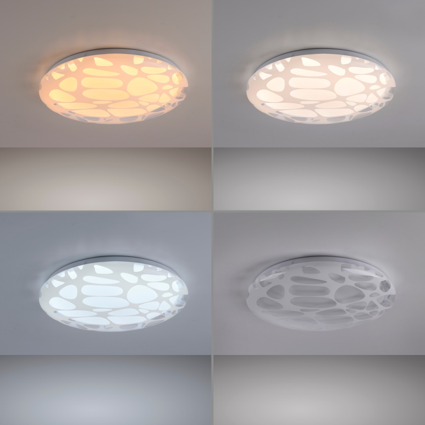 JUST LIGHT. 14009-16 - LED Ρυθμιζόμενο φωτιστικό οροφής ART PLAFO LED/20W/230V 2700-6500K διάμ. 38 cm λευκό + τηλεχειριστήριο