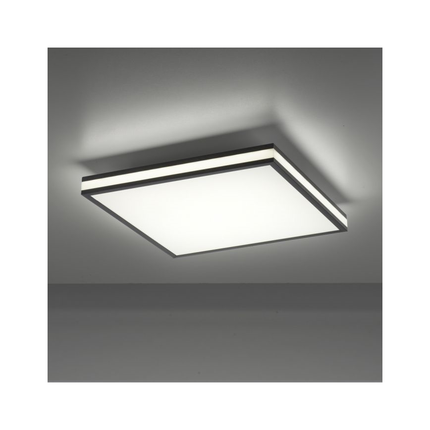 JUST LIGHT. 14110-18 - LED RGBW Dimmable φωτιστικό οροφής MARIO BLACK LED/19,5W/230V 2700-5000K + τηλεχειριστήριο