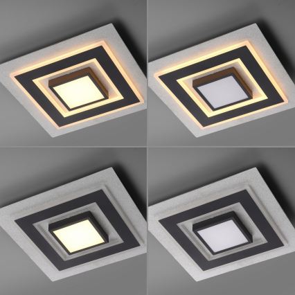JUST LIGHT. 14439-21 - LED Φωτιστικό οροφής CICHIO LED/18,5W/230V + LED/9W 40x40 cm μαύρο