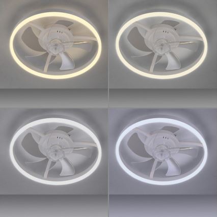 JUST LIGHT. 14624-16 - Ρυθμιζόμενος ανεμιστήρας οροφής με LED φωτισμό RITA LED/22W/230V 3000-6000K, διάμ. 50 cm, λευκό + τηλεχειριστήριο
