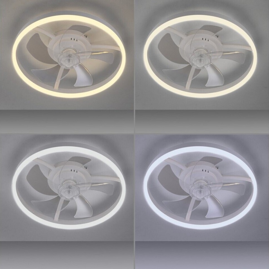 JUST LIGHT. 14624-16 - Ρυθμιζόμενος ανεμιστήρας οροφής με LED φωτισμό RITA LED/22W/230V 3000-6000K, διάμ. 50 cm, λευκό + τηλεχειριστήριο
