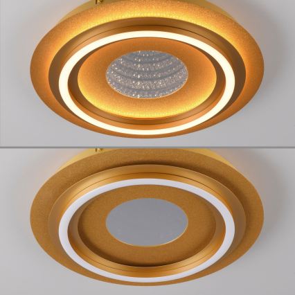 JUST LIGHT. 15089-60 - LED Φωτιστικό οροφής CICHIO LED/36W/230V διάμ. 40 cm χρυσό