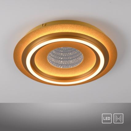JUST LIGHT. 15089-60 - LED Φωτιστικό οροφής CICHIO LED/36W/230V διάμ. 40 cm χρυσό