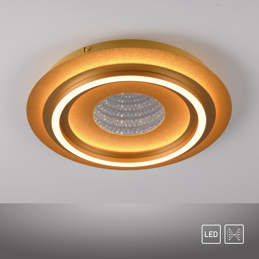JUST LIGHT. 15089-60 - LED Φωτιστικό οροφής CICHIO LED/36W/230V διάμ. 40 cm χρυσό