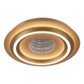 JUST LIGHT. 15089-60 - LED Φωτιστικό οροφής CICHIO LED/36W/230V διάμ. 40 cm χρυσό