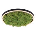 JUST LIGHT. 15391-66 - LED Dimmable φωτιστικό οροφής GREEN RITU LED/20W/230V