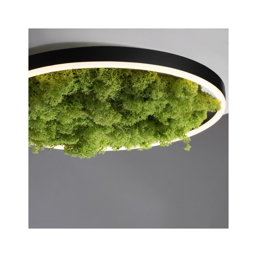 JUST LIGHT. 15391-66 - LED Dimmable φωτιστικό οροφής GREEN RITU LED/20W/230V