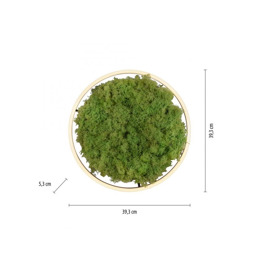 JUST LIGHT. 15391-66 - LED Dimmable φωτιστικό οροφής GREEN RITU LED/20W/230V