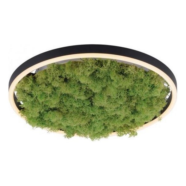 JUST LIGHT. 15391-66 - LED Dimmable φωτιστικό οροφής GREEN RITU LED/20W/230V