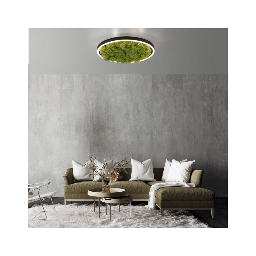 JUST LIGHT. 15391-66 - LED Dimmable φωτιστικό οροφής GREEN RITU LED/20W/230V