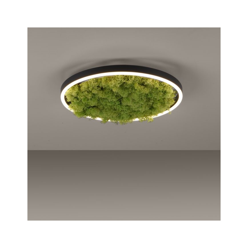 JUST LIGHT. 15391-66 - LED Dimmable φωτιστικό οροφής GREEN RITU LED/20W/230V