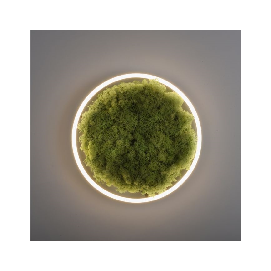JUST LIGHT. 15391-66 - LED Dimmable φωτιστικό οροφής GREEN RITU LED/20W/230V