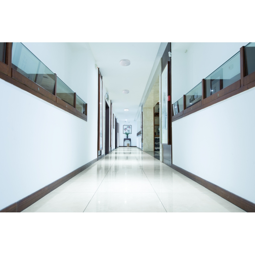 LED φωτιστικό οροφής με ανιχνευτή κίνησης και λυκόφωτος FOGLER LED/12W/230V, διάμ. 28 cm