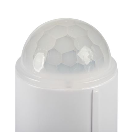 Φωτιστικό οροφής LED με αισθητήρα κίνησης και λυκόφωτος FOGLER LED/24W/230V Ø 38 εκ.