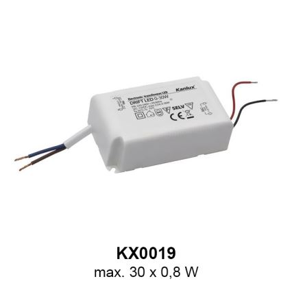LED φωτιστικό προσανατολισμού 1xLED/0,8W/12V