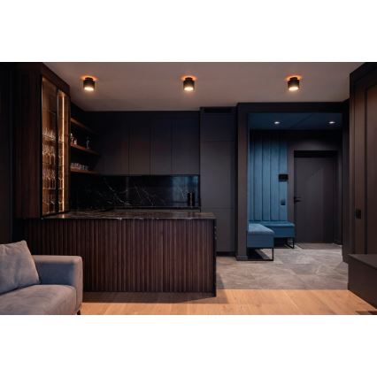 Σποτ οροφής LED SONOR LED/12W/230V 3000/4000/5700K + LED/1,5W 2200K Ø 14 cm μαύρο