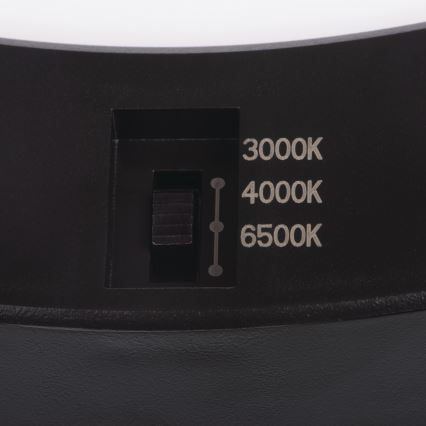 LED Οροφής/ψευδοροφής φωτιστικό με αισθητήρα κίνησης 2 σε 1 ERGA LED/17W/230V 3000/4000/6500K μαύρο