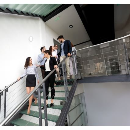 LED φωτιστικό οροφής/ψευδοροφής 2 σε 1 ERGA LED/17W/230V 3000/4000/6500K μαύρο