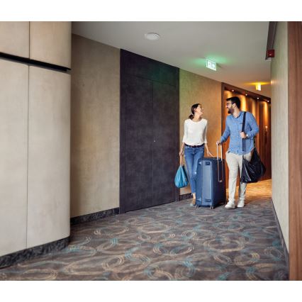 LED φωτιστικό οροφής/ψευδοροφής 2-σε-1 ERGA LED/17W/230V 3000/4000/6500K λευκό