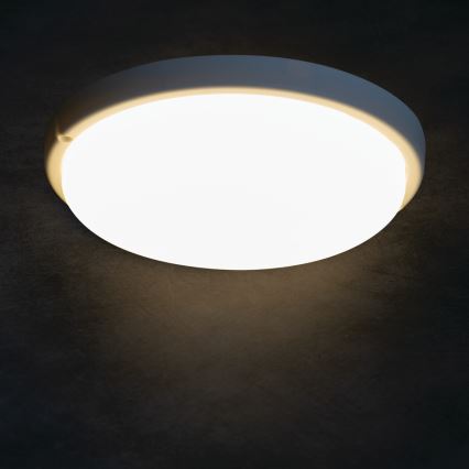 Φωτιστικό οροφής μπάνιου LED TOLU LED/18W/230V 4000K IP54 λευκό