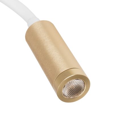 Ευλύγιστη επιτραπέζια λάμπα LED TONIL LED/3,3W/230V λευκή/χρυσή