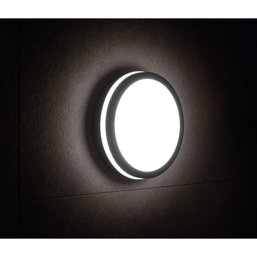 Φως εξωτερικού χώρου LED με αισθητήρα BENO LED/24W/230V IP54 ανθρακίτης