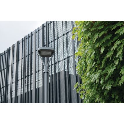 Φωτιστικό δρόμου LED PARCOLI LED/30/40/50W/230V 3000/4000/6500K IP66 γκρι