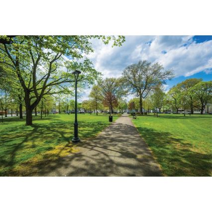 Φωτιστικό δρόμου LED PARCOLI LED/30/40/50W/230V 3000/4000/6500K IP66 γκρι