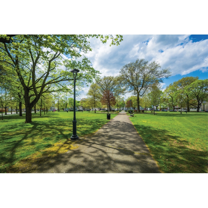 Φωτιστικό δρόμου LED PARCOLI LED/30/40/50W/230V 3000/4000/6500K IP66 γκρι