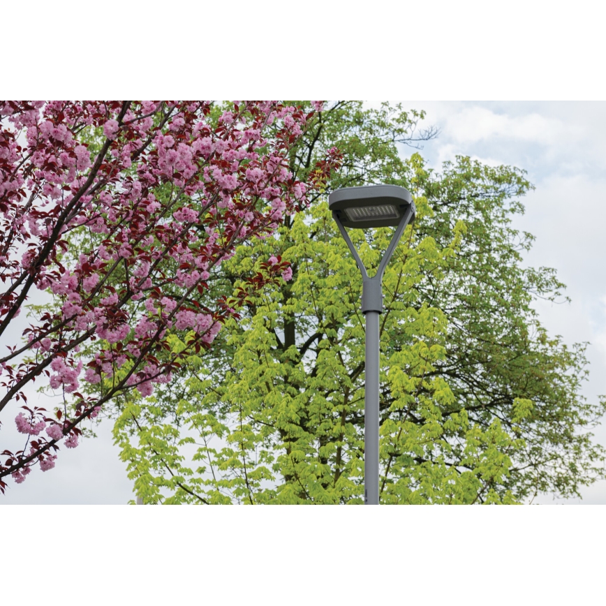 Φωτιστικό δρόμου LED PARCOLI LED/30/40/50W/230V 3000/4000/6500K IP66 γκρι