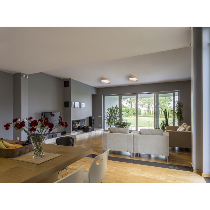 Φωτιστικό οροφής LED RIFA LED/17,5W/230V 4000K καφέ