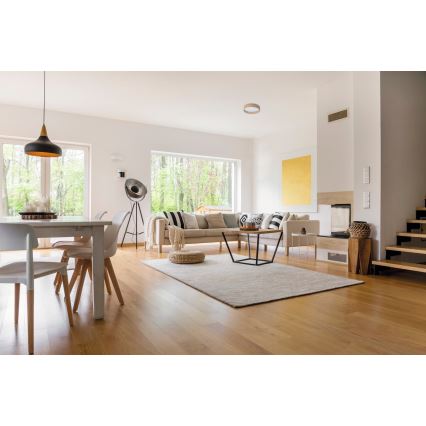 Φωτιστικό οροφής LED RIFA LED/17,5W/230V 3000K καφέ