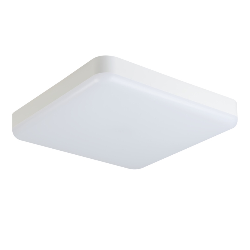 Φωτιστικό εργασίας οροφής LED IPER LED/35W/230V IK10 IP65 γωνιακό λευκό