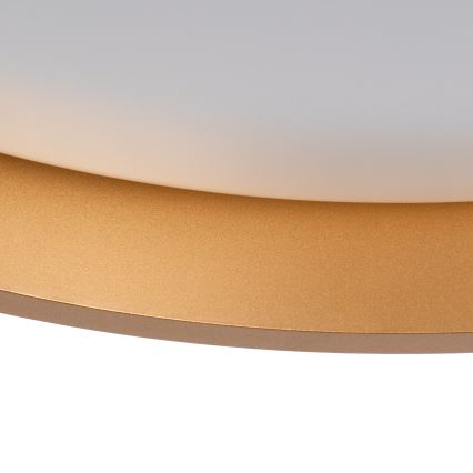 Φωτιστικό οροφής LED SOLN LED/17,5W/230V διάμετρος 38 cm λευκό/χρυσό