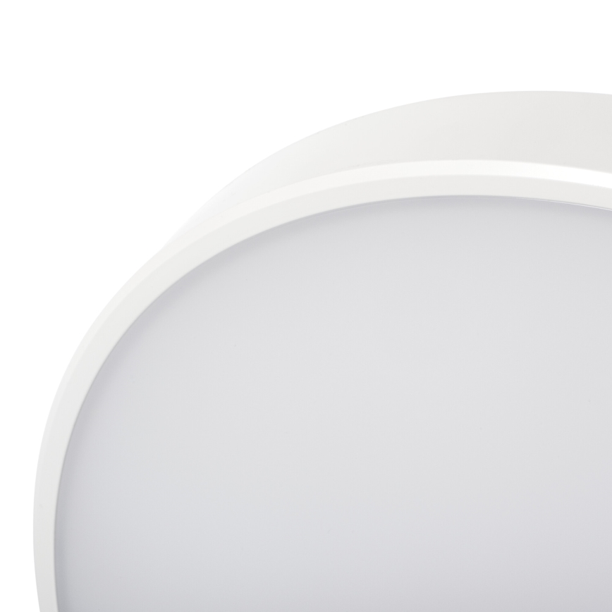 LED Dimmable φωτιστικό οροφής PLAFON LED/20W/230V 3000-6500K Wi-Fi λευκό