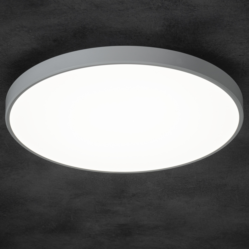 LED Dimmable φωτιστικό οροφής PLAFON LED/20W/230V 3000-6500K Wi-Fi λευκό