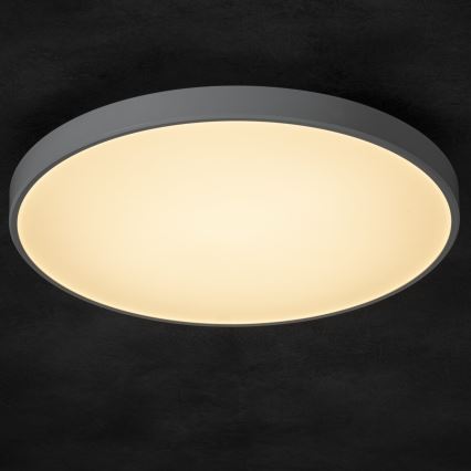 LED Dimmable φωτιστικό οροφής PLAFON LED/20W/230V 3000-6500K Wi-Fi λευκό