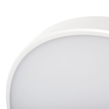 LED Dimmable φωτιστικό οροφής PLAFON LED/20W/230V 3000-6500K Wi-Fi λευκό