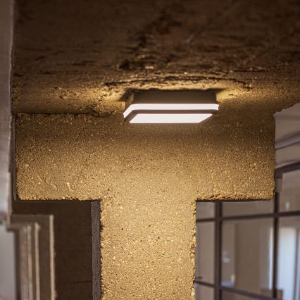 Φωτιστικό οροφής εξωτερικού χώρου LED με αισθητήρα κίνησης BENO LED/24/30W/230V 3000/3500/4000K IP65 ανθρακί γωνιακός