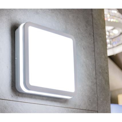 Φωτιστικό οροφής εξωτερικού χώρου LED με αισθητήρα κίνησης BENO LED/24/30W/230V 3000/3500/4000K IP65 λευκό γωνιακός