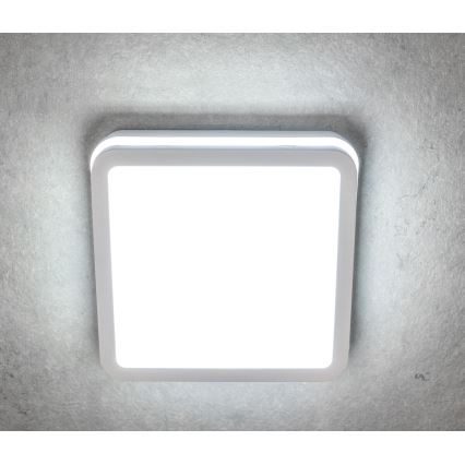 Φωτιστικό οροφής εξωτερικού χώρου LED BENO LED/24/30W/230V 3000/3500/4000K IP65 λευκό γωνιακό
